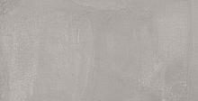 Ariana Concrea Silver Lux Rett. 30x120 см Напольная плитка