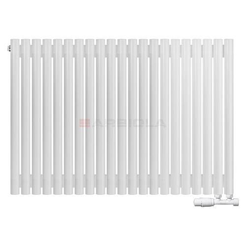 Arbiola Iris 42 V 750-42-21 секции белый вертикальный радиатор c нижним подключением